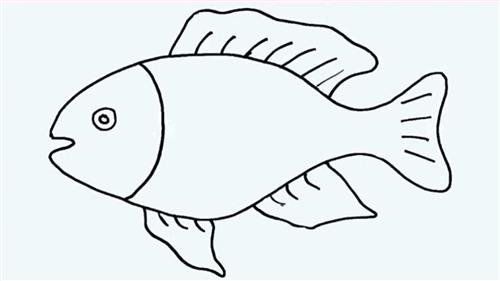 fish drawing 